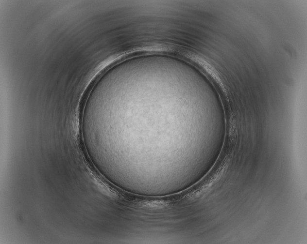X0000115100837200911101543