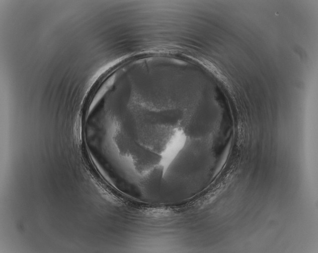 X0000115100838200911101543