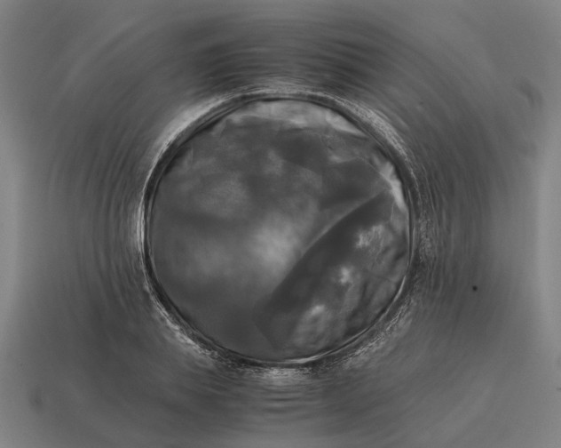 X0000115100839200911101543