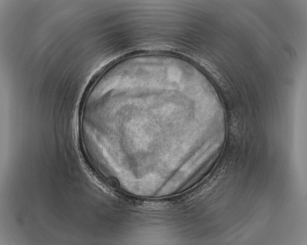 X0000115100840200911101543