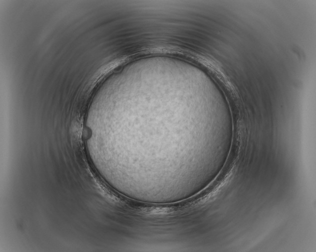 X0000115100841200911101543