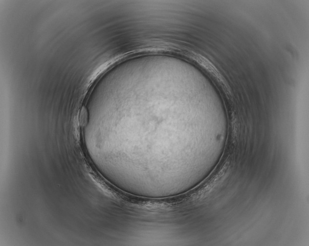X0000115100842200911101543