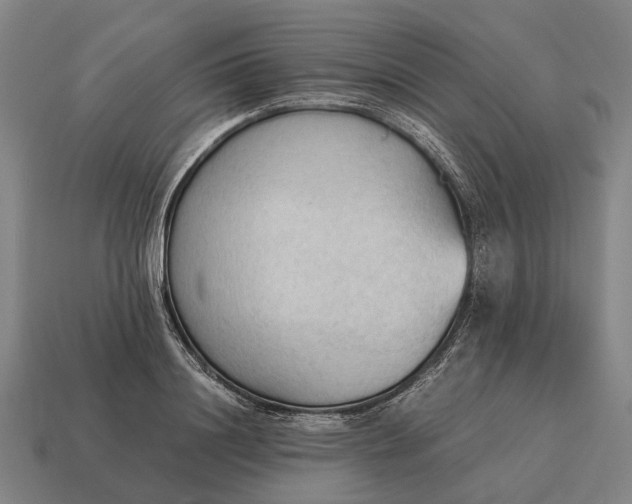 X0000115100844200911101543