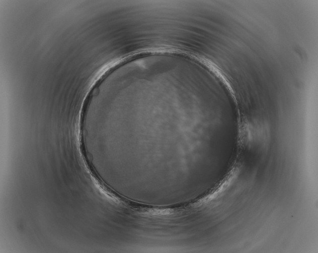 X0000115100845200911101543