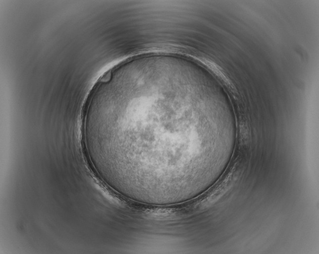 X0000115100846200911101543