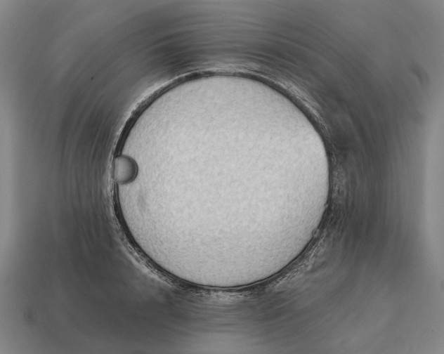 X0000115100848200911101543