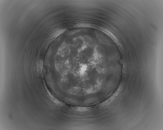 X0000115100849200911101543