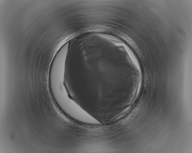 X0000115100850200911101543