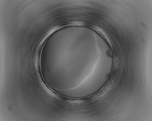 X0000115100851200911101543