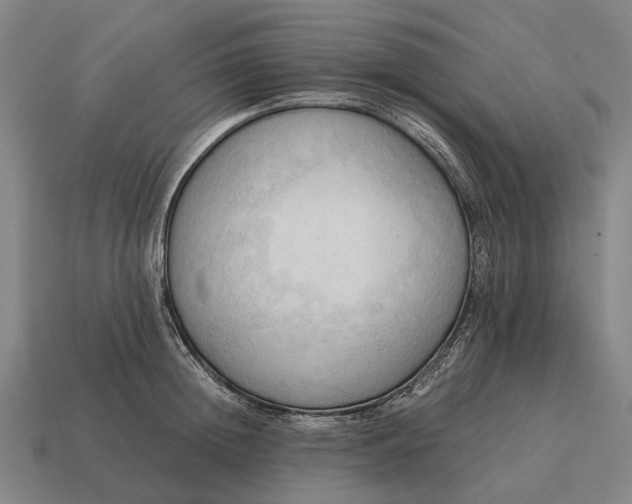 X0000115100852200911101543