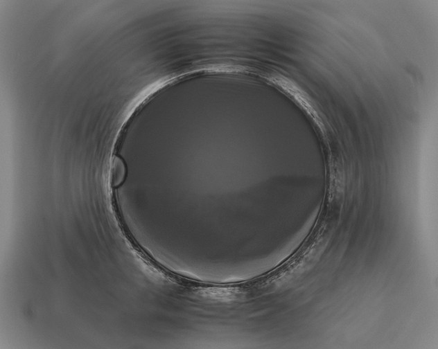 X0000115100853200911101543