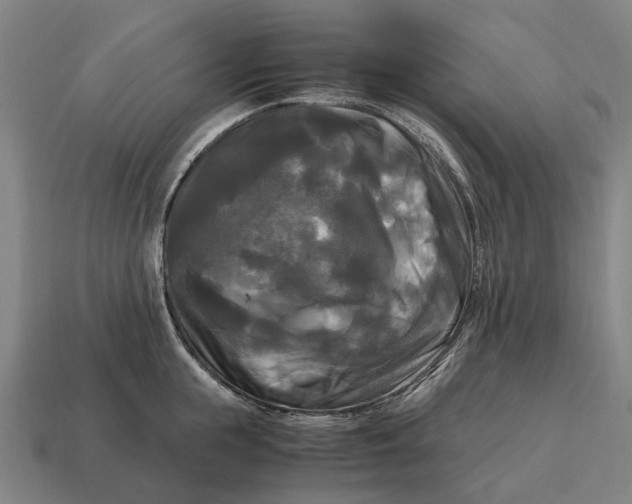 X0000115100855200911101543