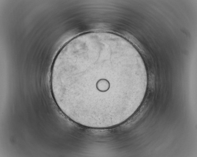 X0000115100856200911101543