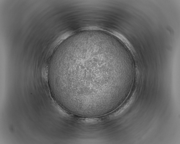 X0000115100857200911101543