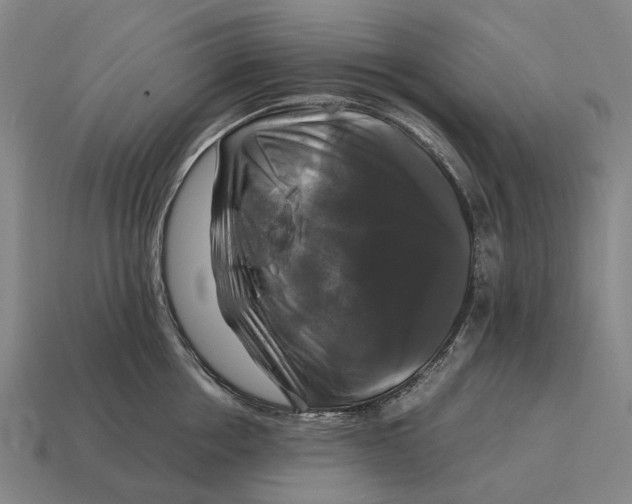 X0000115100858200911101543