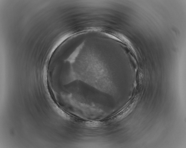 X0000115100859200911101543