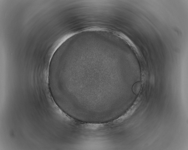 X0000115100860200911101543