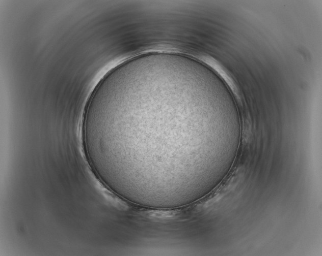 X0000115100861200911101543