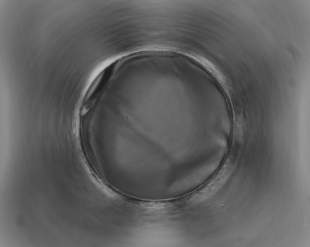 X0000115100862200911101543