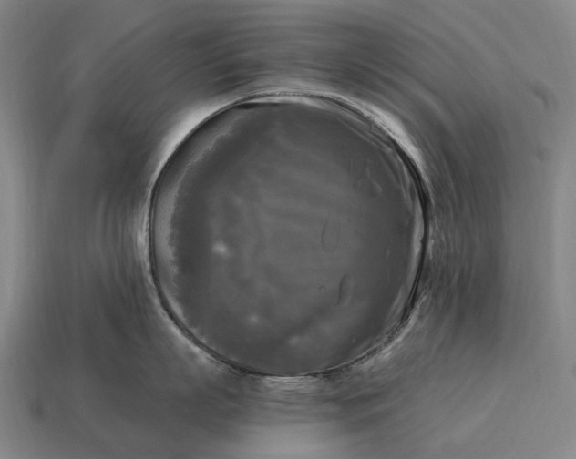 X0000115100863200911101543