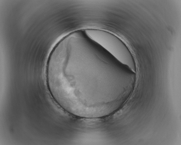 X0000115100864200911101543