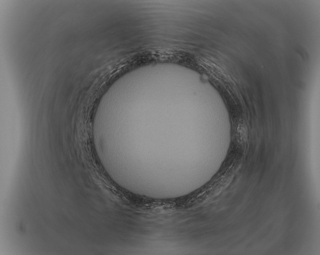 X0000115100865200911101543