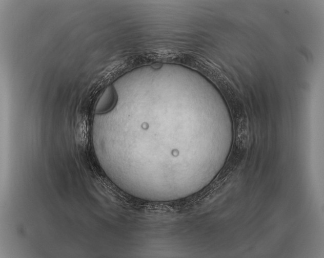 X0000115100866200911101543