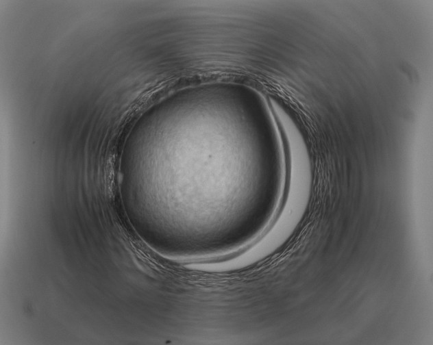 X0000115100868200911101542