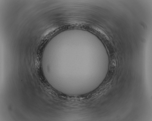 X0000115100869200911101542