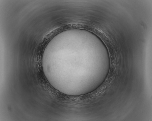 X0000115100870200911101542