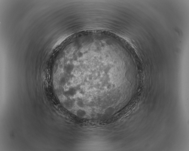 X0000115100871200911101542