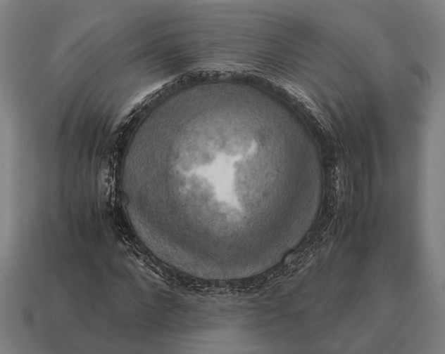 X0000115100872200911101542