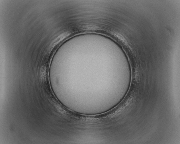 X0000115100873200911101542