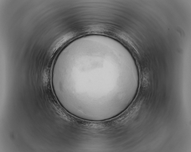 X0000115100874200911101542