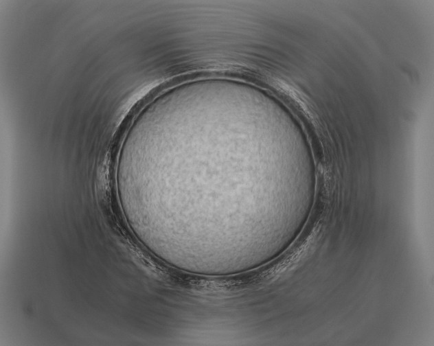 X0000115100875200911101542