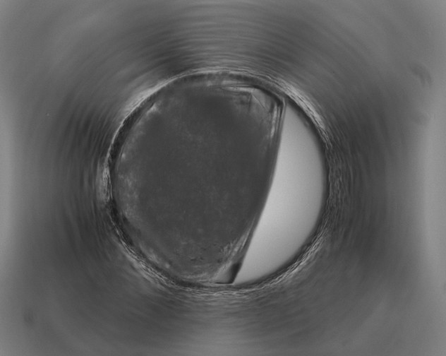 X0000115100876200911101542