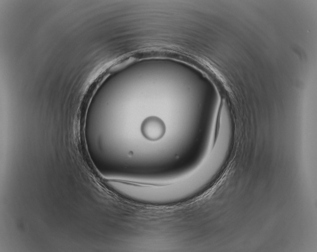 X0000115100877200911101542