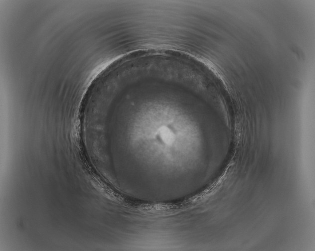 X0000115100879200911101542