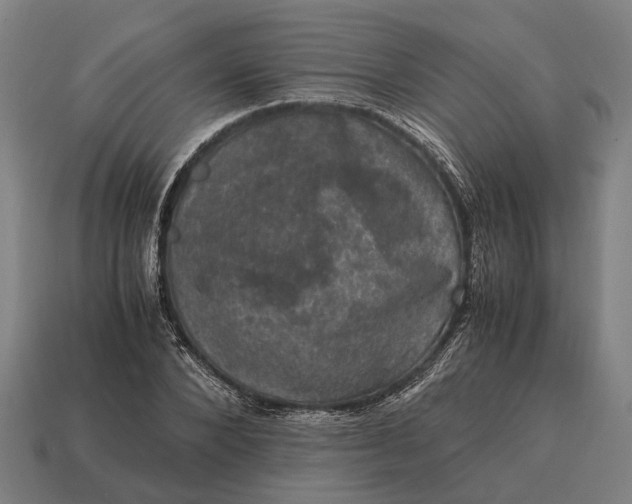 X0000115100880200911101542