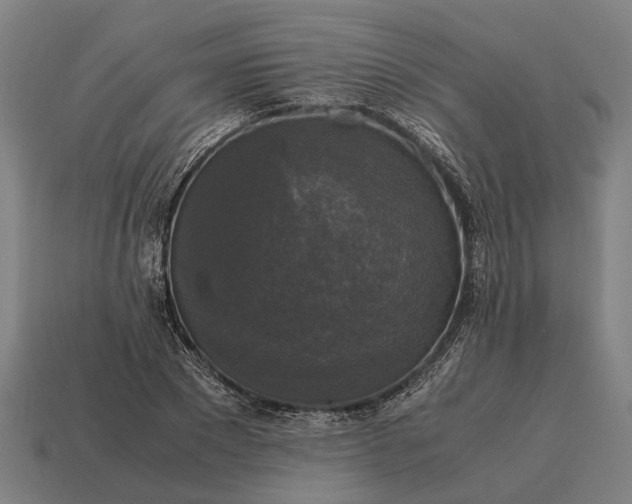 X0000115100881200911101542