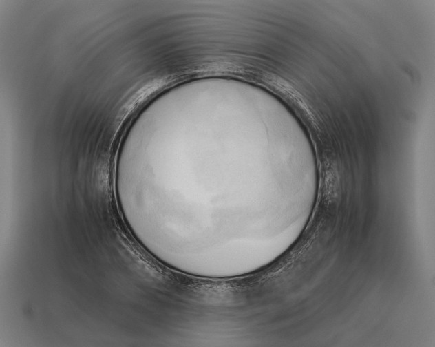 X0000115100882200911101542