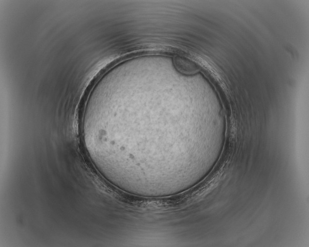 X0000115100883200911101542