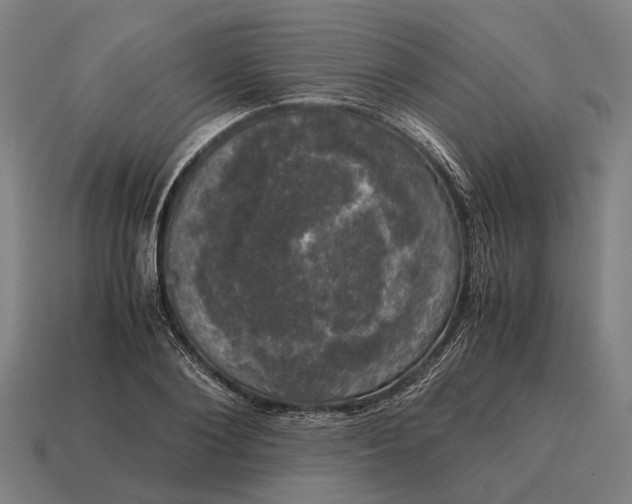 X0000115100884200911101542