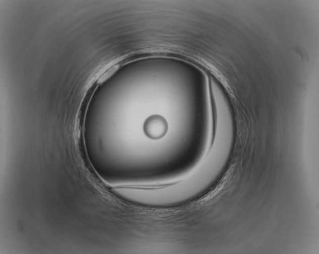 X0000115100885200911101542