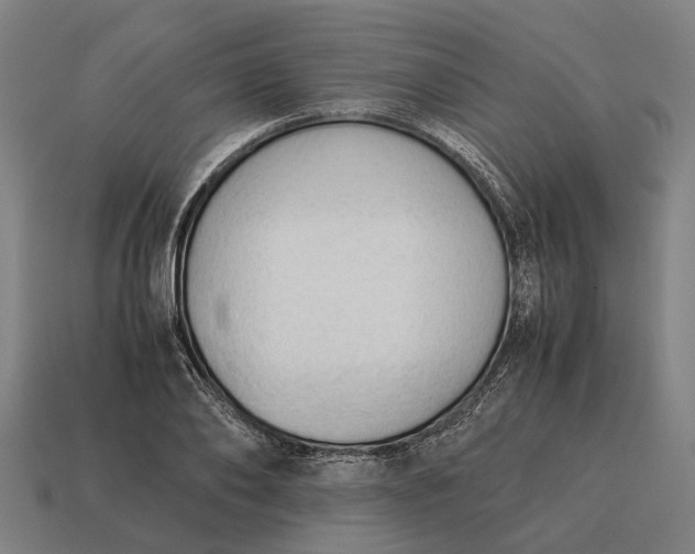 X0000115100886200911101542