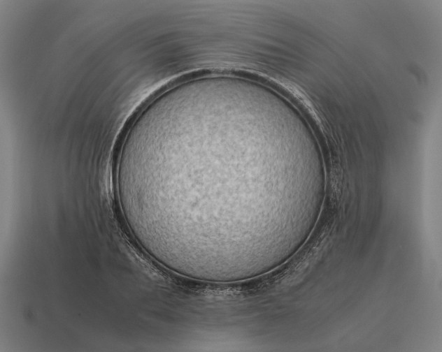 X0000115100887200911101542