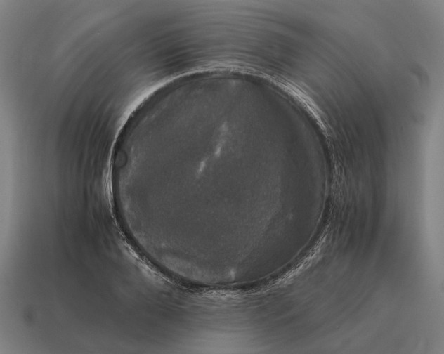 X0000115100888200911101542