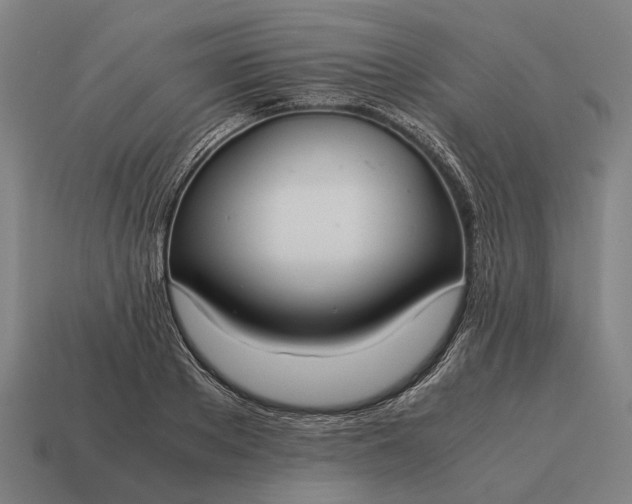 X0000115100889200911101542