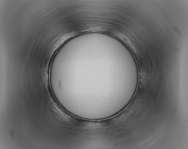 X0000115100890200911101542