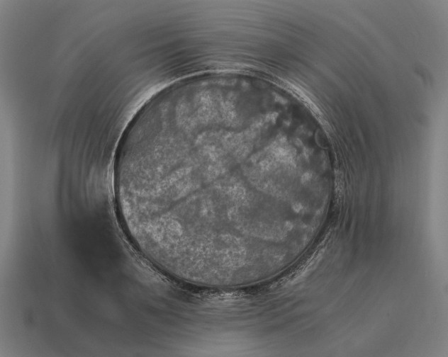 X0000115100891200911101542